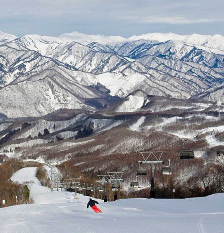 Mt T (Tenjindaira) Private Tour – Japan Snow Adventures